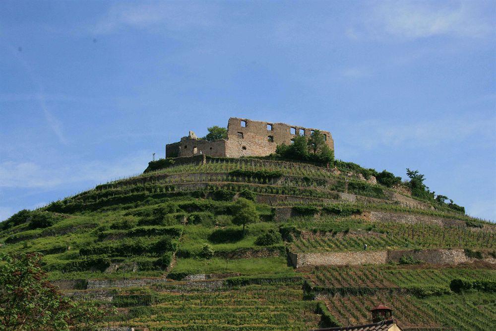 Gaestehaus Goethe Staufen im Breisgau Εξωτερικό φωτογραφία