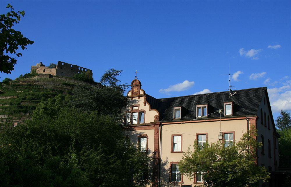 Gaestehaus Goethe Staufen im Breisgau Εξωτερικό φωτογραφία
