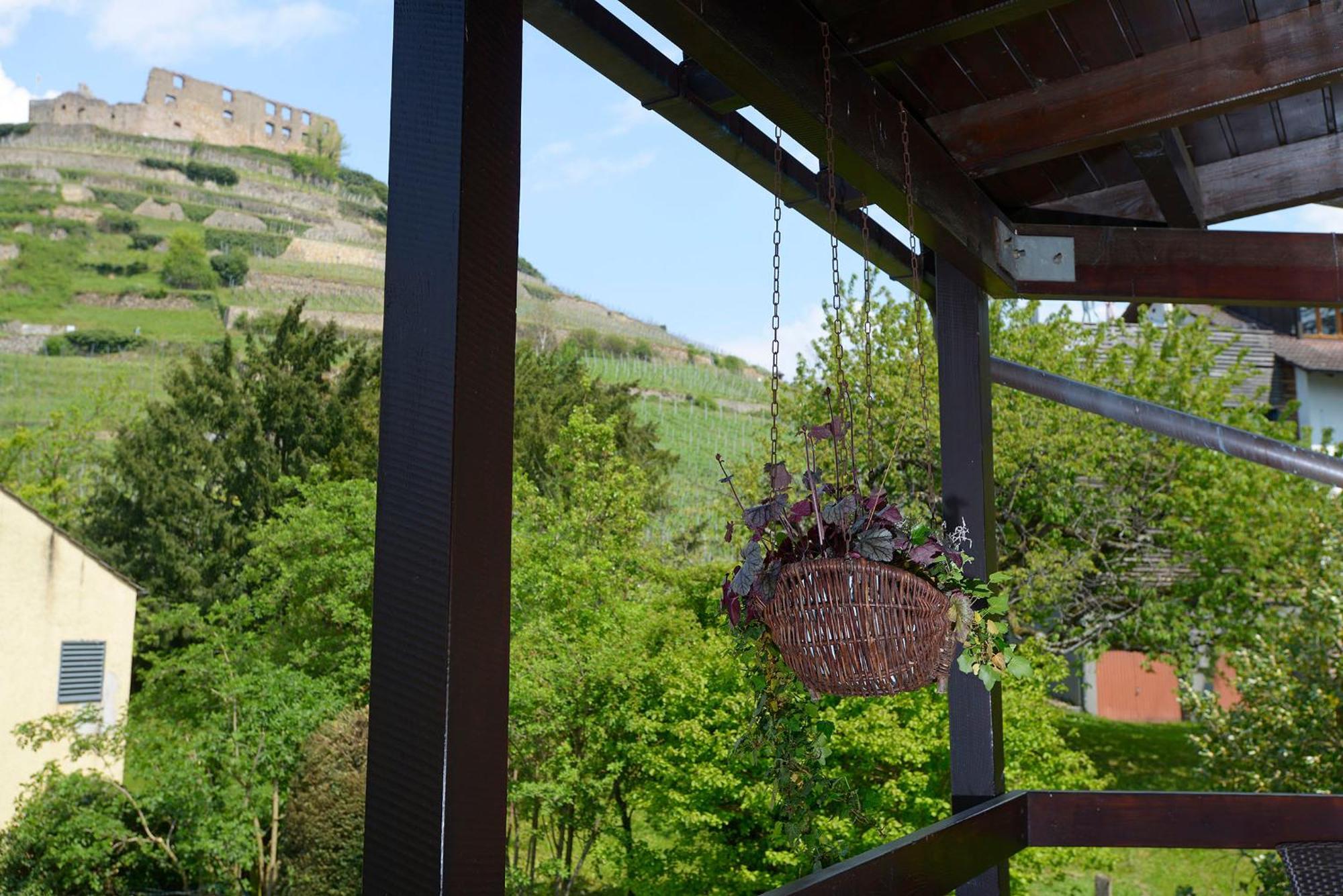 Gaestehaus Goethe Staufen im Breisgau Εξωτερικό φωτογραφία