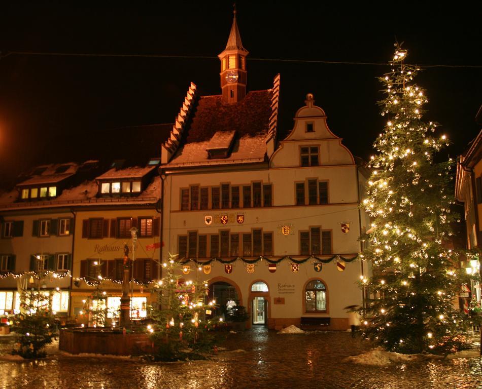 Gaestehaus Goethe Staufen im Breisgau Εξωτερικό φωτογραφία