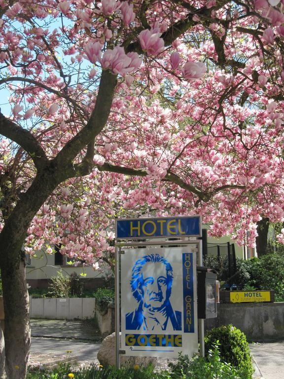 Gaestehaus Goethe Staufen im Breisgau Εξωτερικό φωτογραφία